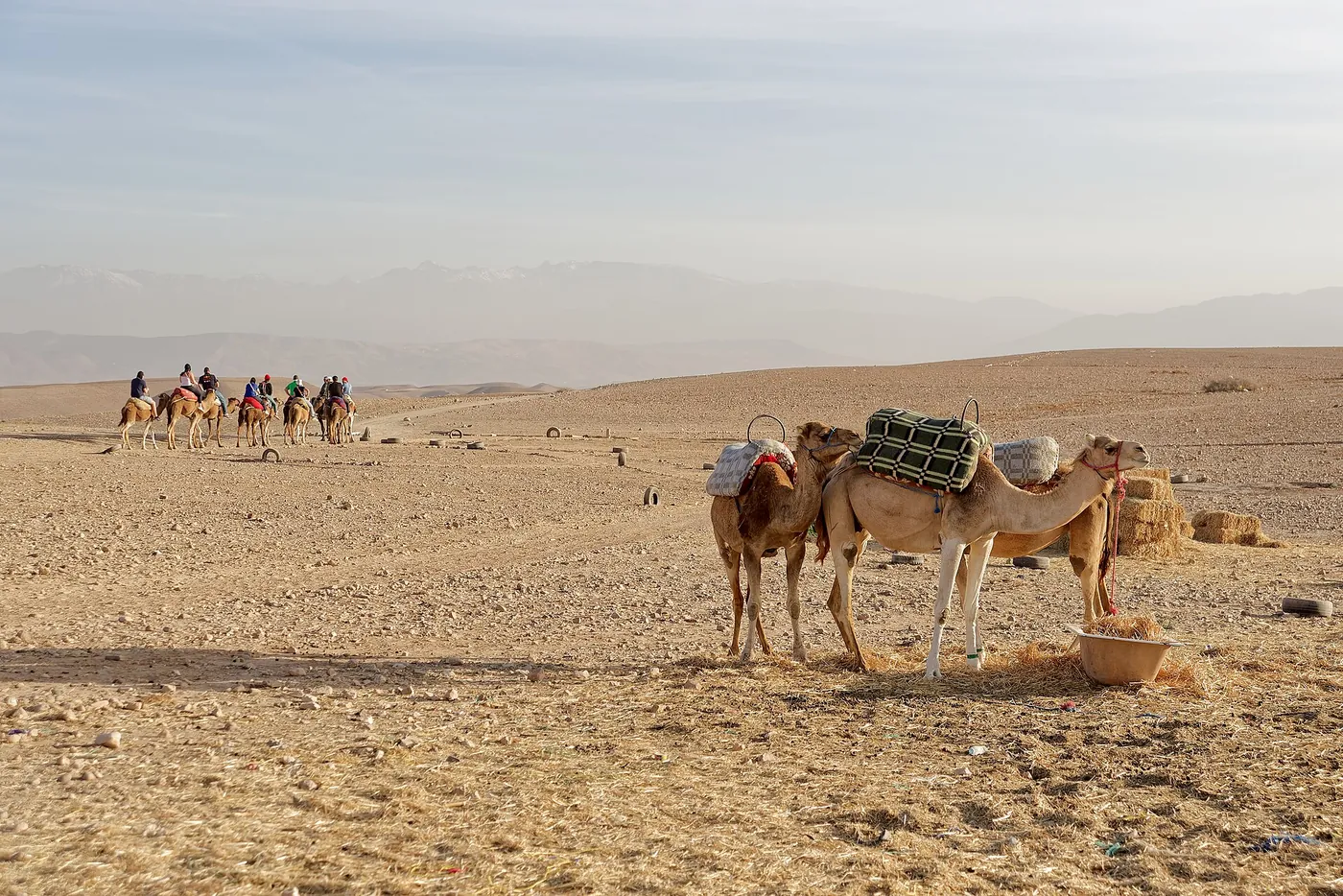 Agafay desert landscape near Marrakech