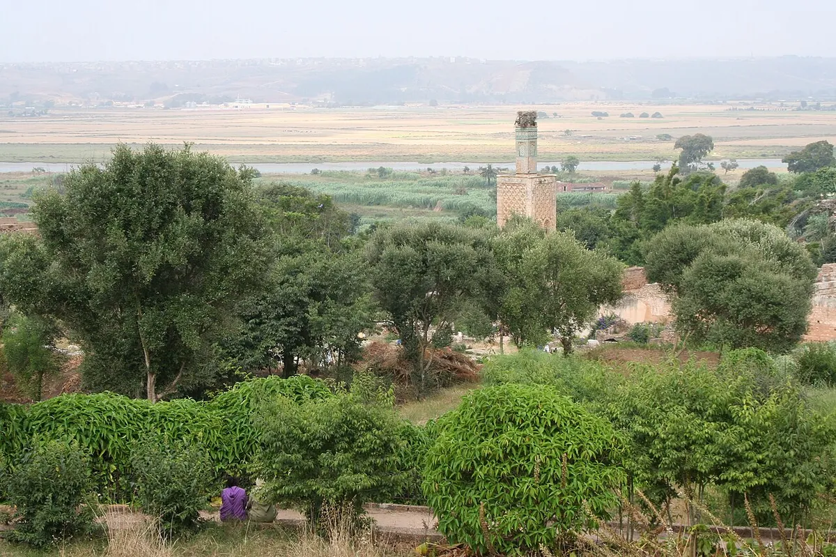 Chellah ruins in Rabat with stork nests - Step 5 of the itinerary