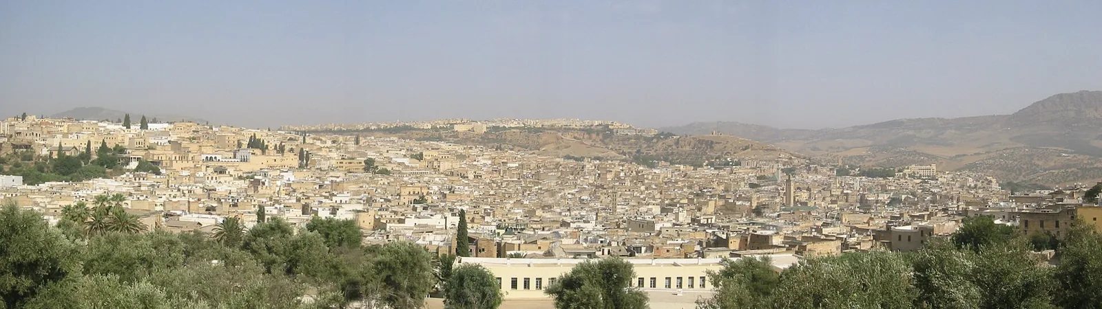 Panoramic view of Fes el-Bali rooftops