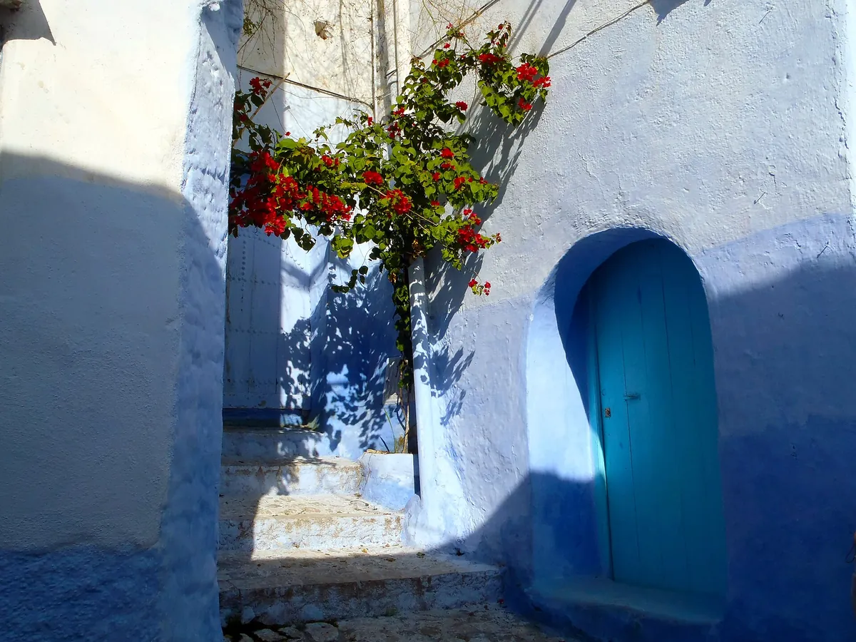 Red bougainvillea against blue-washed walls in a stepped alley just off Place Outa el-Hammam