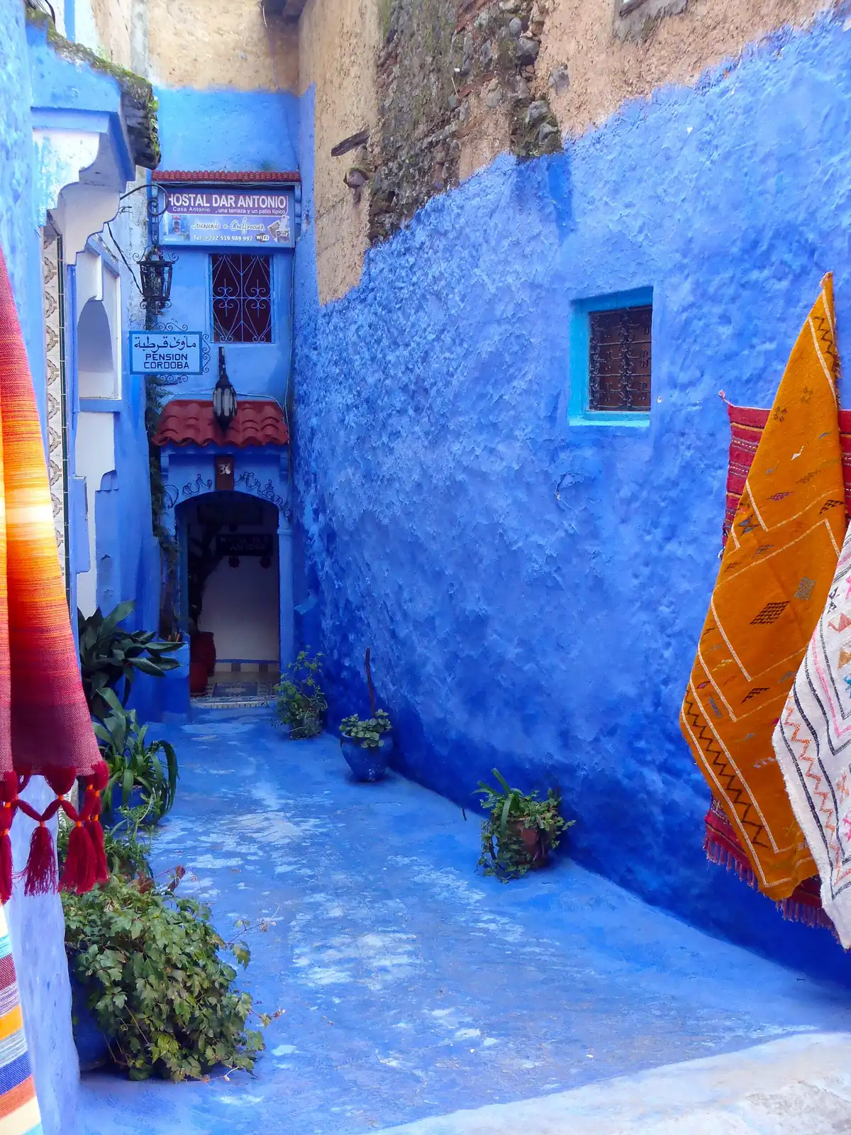 Carpets hanging outside a guesthouse in a deep blue lane on the eastern side of the Chefchaouen medina, with Spanish-language signage